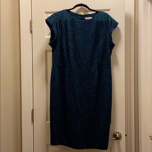 Calvin Klein dress. 18w